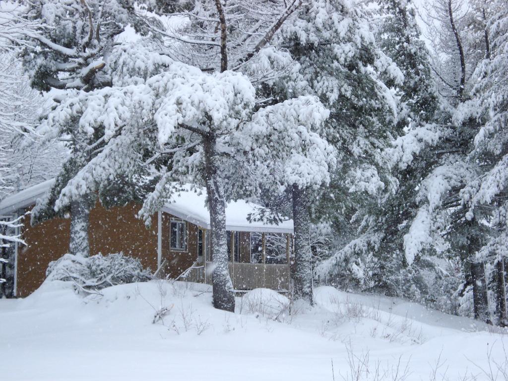 Auberge La Taniere Tadoussac Exteriér fotografie